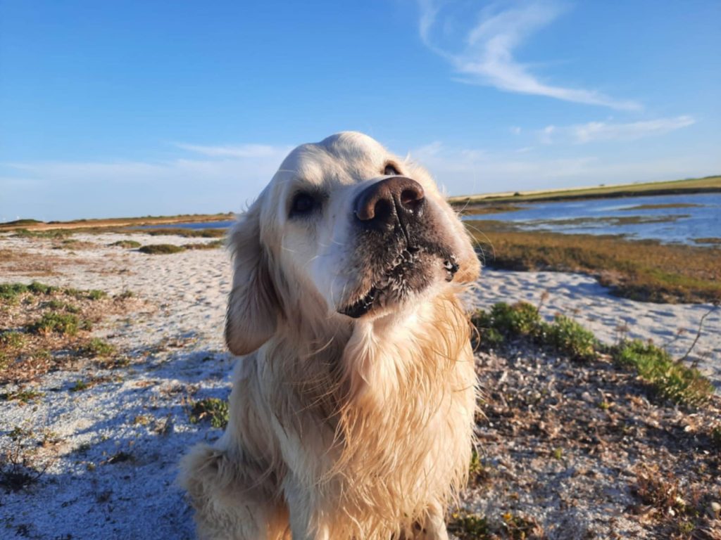 jaz na dopustu v Grčiji