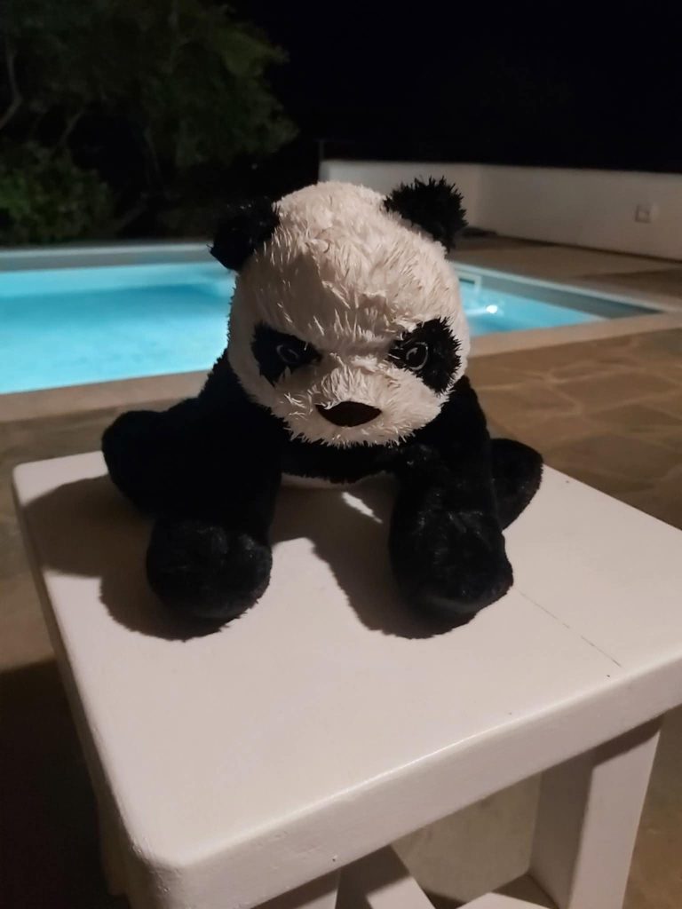 pliško ki sem ga raztrgal