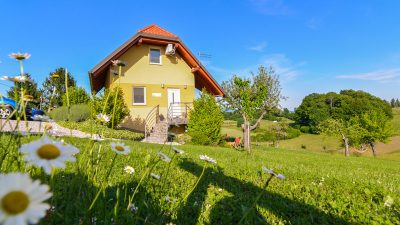 Apartma Vinska trta – Pasji raj med vinogradi